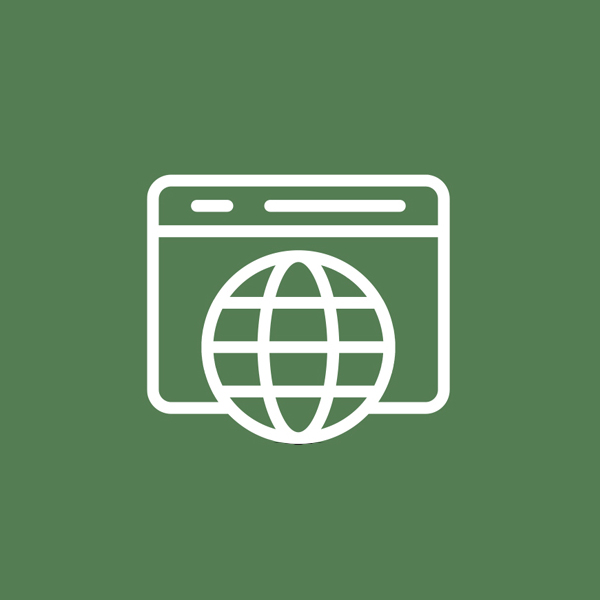 Web Accessibility Icon of globe